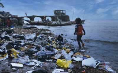 The Price of Plastic