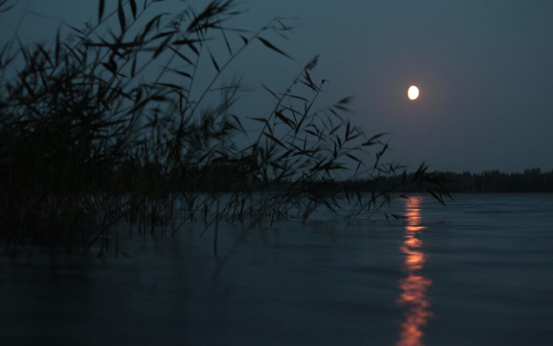 The Starless River