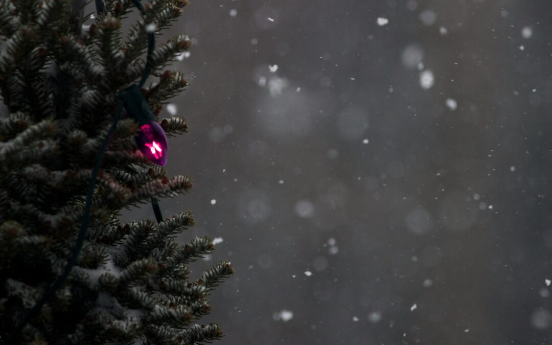 Merry Little Christmas
