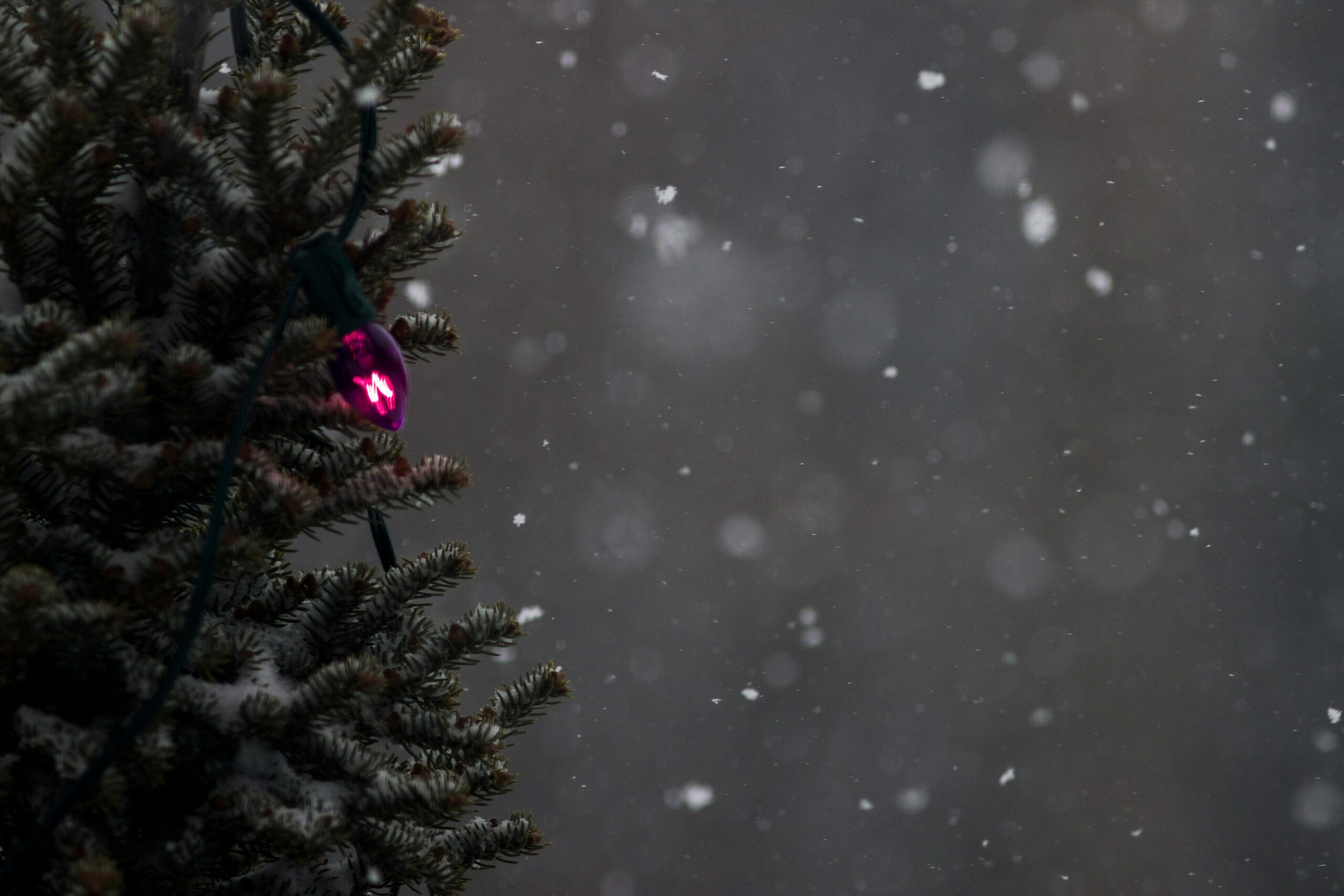 gary-fultz-V34yavidsJs-unsplash